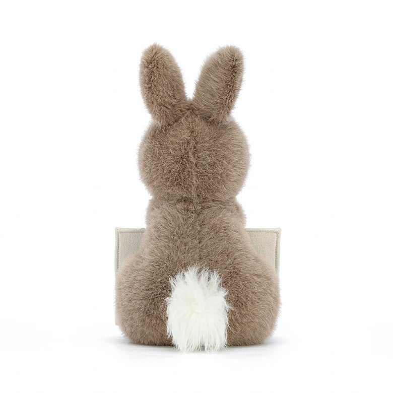 Messenger Bunny Brown