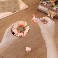 Wooden Blooming Book (TW04H) - DIY Wooden Flower 3D Puzzle