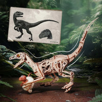 ROKR Velociraptor (LD01) - Wind-Up Mechanical Dinosaur