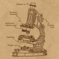 ROKR Microscope (ST005) - 3D Wooden Model Kit