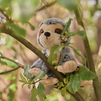 Cuddle Cub Collection by Charlie Bears - Sloth