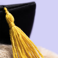 Bashful Bunny Graduation Outfit