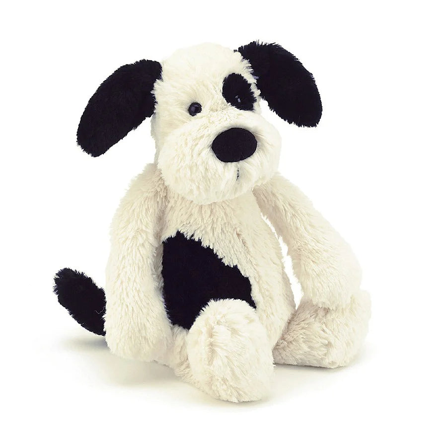 Bashful Rufferty puppy