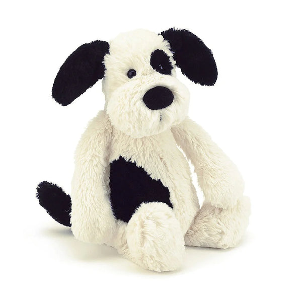 Bashful Rufferty puppy