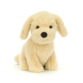 Golden Puppy