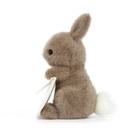 Messenger Bunny Brown