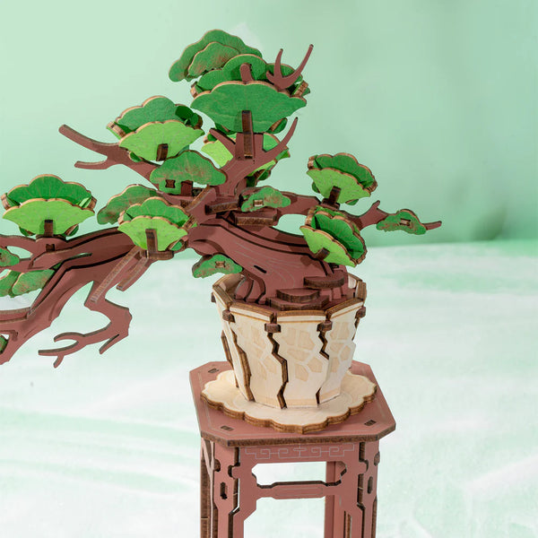 Rolife Evergreen Pine Bonsai (TG510) - DIY Wooden 3D Puzzle